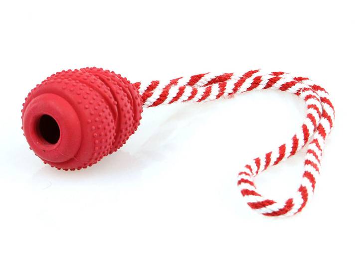 Mighty Champer M ROT MIT Seil