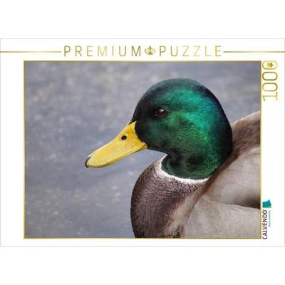 CALVENDO Puzzle Stockente Männchen Portrait | 1000 Teile Lege-Größe 64x48cm Foto-Puzzle für glückliche Stunden