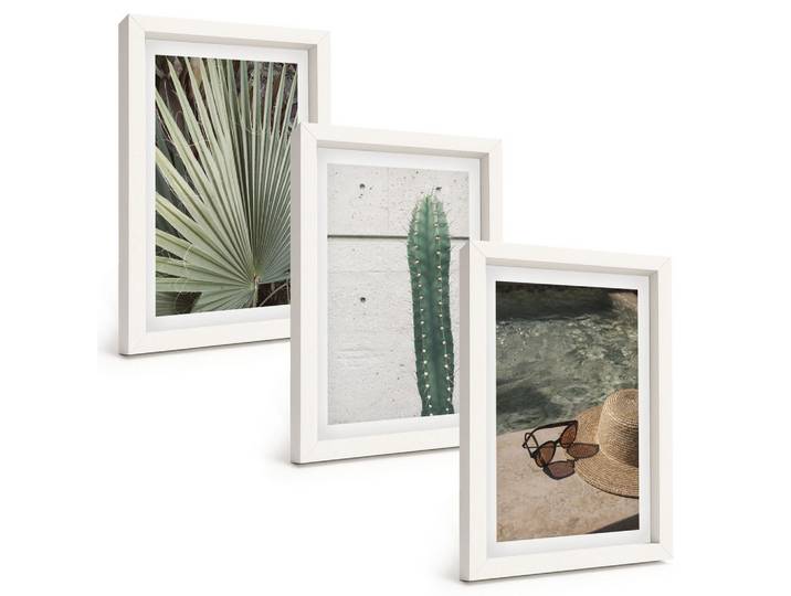 BILDER SET 3er Set - 20x30 cm Weißer Rahmen - Zubehör für tropische Pflanzen