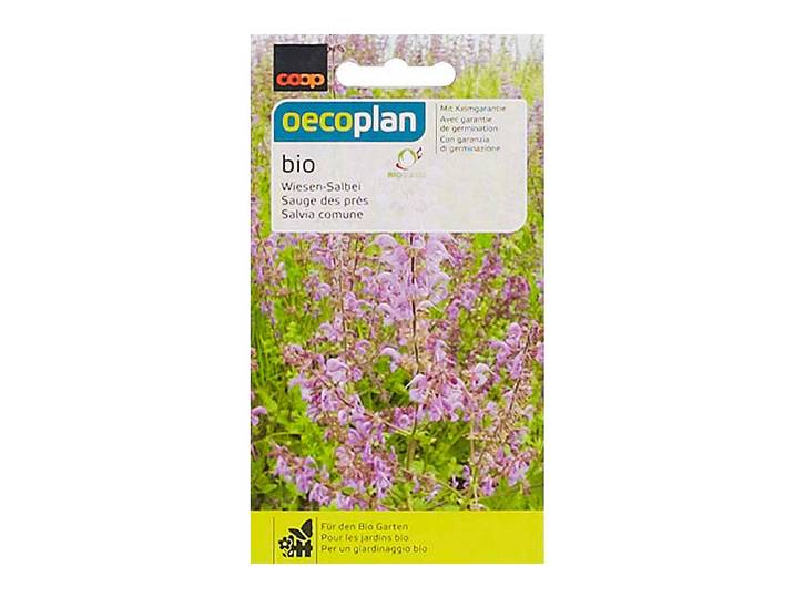 Oecoplan Wiesen-Salbei Bio