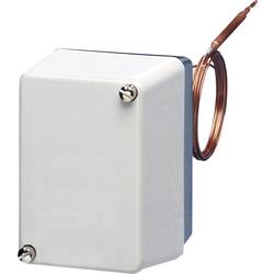 Jumo 60000962 Temperaturwächter 0 bis 100 °C