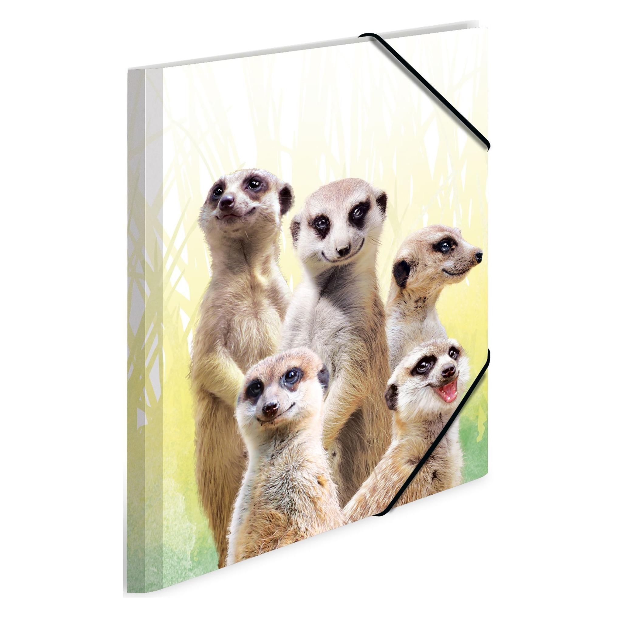 Herma 3 Sammelmappen DIN A4 Erdmännchen (A4, 3x) (19961)