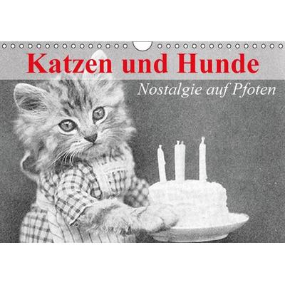 Katzen und Hunde - Nostalgie auf Pfoten (Wandkalender immerwährend DIN A4 quer)