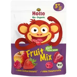 Holle Fruit Mix Fruchtmischung bio