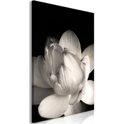 Artgeist, Bilder, Delicacy of Petals in Nature (1-part) - Flower in Black and White (80 x 120 cm)