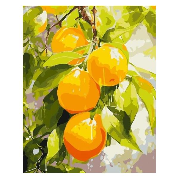 Qbee Malen nach Zahlen - Saftige Zitronen 40x50cm (58219317)