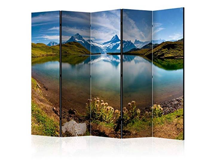 decomonkey Paravent Raumteiler Innen Landschaft, 225x172 cm, 5-teilig Beidseitig, Natur, Wohnzimmer, Room Divider, Wall, Raumteiler Stehend, Trennwand, Sichtschutz, Spanische Wand, Holz