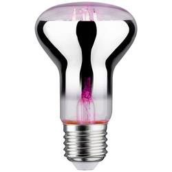 Paulmann LED-Pflanzenlampe Wachstum 230 V E27 6.5 W Bernstein 1 St. 28732