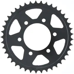 RK Kettenrad 6829 45 Zähne