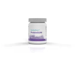 Dentasan Probiogum Spearmint Kaugummi 30 St Kaugummi