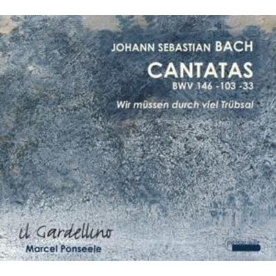 Kantaten BWV 33,103,146 - V. Ghielmi,Weynants,Ullmann,Ponseele,Il Gardell, CD
