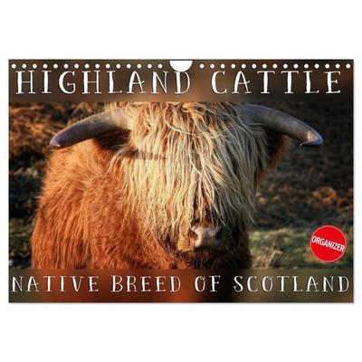 Highland Cattle - Native Breed of Scotland (Wall Calendar 2026 DIN A4 landscape), CALVENDO 12 Month Wall Calendar
