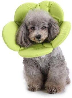 Inspired Deals Soft Flower Dog Recovery Collar For Pets Comfortable Pet Protection Collar After Surgery M green