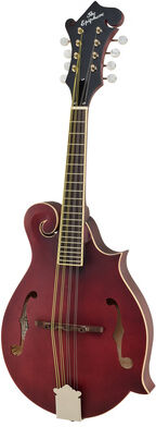 Epiphone F-5 Studio WR Satin Wine Red Satin