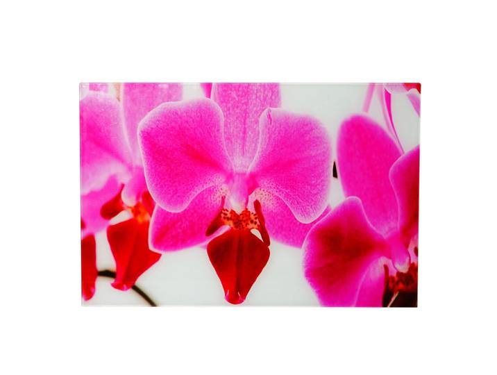 Jamb Glasbild Orchidee Mehrfarbig, Glas, 60x40 cm, Bilder & Rahmen, Bilder, Glasbilder