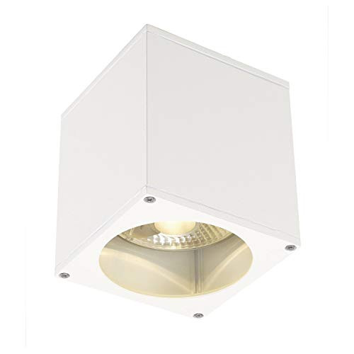 SLV Big Theo Ceiling Out plafond- en wandspot, wit, GU10, IP44