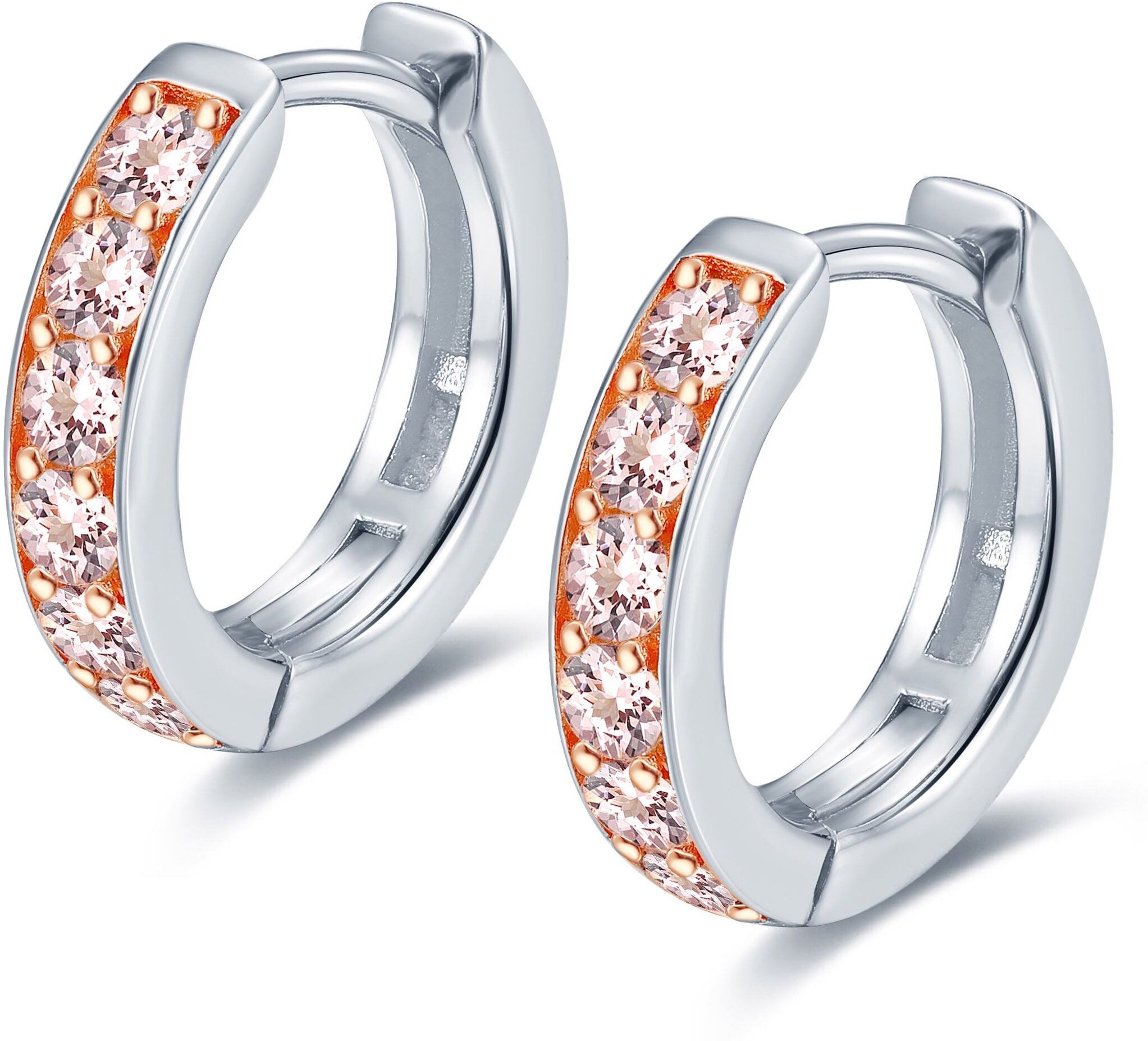 NEORE Noa Morganite Base Earrings