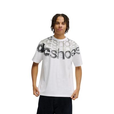 T-Shirt DC SHOES "DC Omega 2", Herren, Gr. M, weiß, Obermaterial: 75% Baumwolle, 25% Baumwolle., Shirts T-Shirt