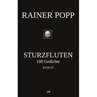 Sturzfluten, Taschenbuch von Rainer Popp, BoD - Books on Demand, 978-3-9823009-4-8