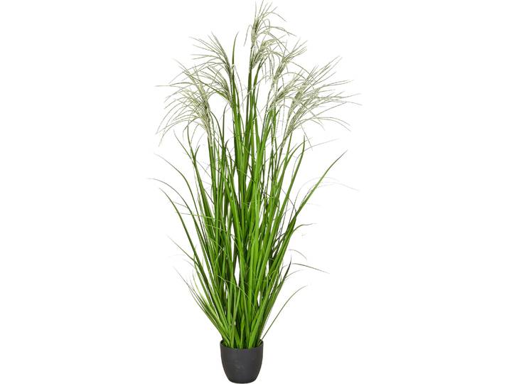 Kunstgras CREATIV GREEN Grasbusch Miscanthus graziella , grün, H:175cm, Obermaterial: 100% Kunststoff, Kunstpflanzen, Kunstgras, mit dekorativen Blüten