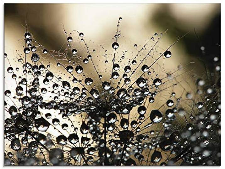 ARTland Wanddeko Glasbilder Wandbild Glas Bild einteilig 60x45 cm Querformat Natur Botanik Blumen Pusteblume Frühling Wassertropfen Modern S5YR