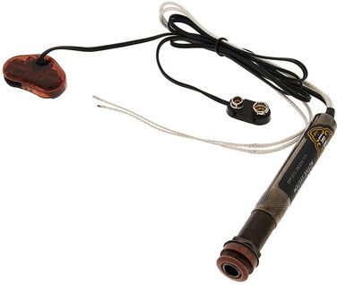 L.R.Baggs EAS SS Set
