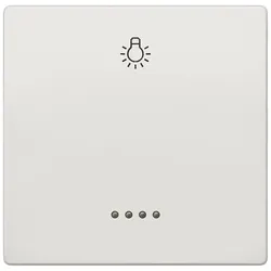 Siemens 5TG7146 DELTA style Wippe mit Fenster und Symbol Licht, titanweiß