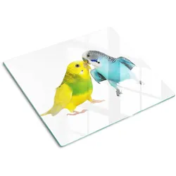 GLASPLATTE 60x52 cm Wellensittiche