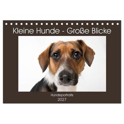 Kleine Hunde - Große Blicke (Tischkalender 2027 DIN A5 quer), CALVENDO Monatskalender