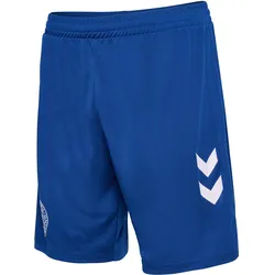 hummel, Unisex, Sporthose, Torwartshort Dänemark 2024 (L), Blau