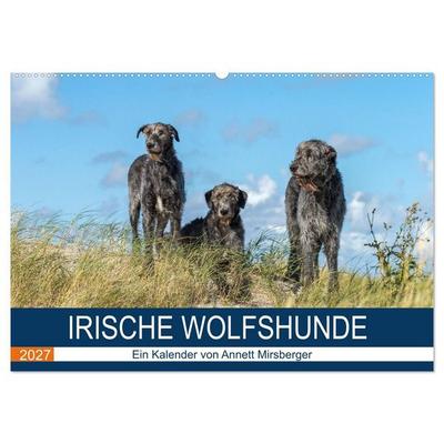 Irische Wolfshunde (Wandkalender 2027 DIN A2 quer), CALVENDO Monatskalender