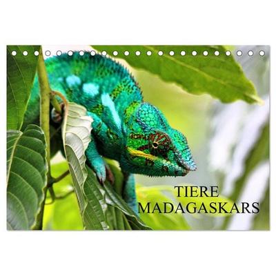 Tiere Madagaskars (Tischkalender 2026 DIN A5 quer), CALVENDO Monatskalender