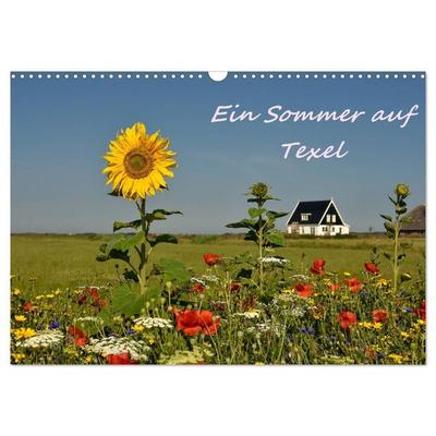 Ein Sommer auf Texel (Wandkalender 2027 DIN A3 quer), CALVENDO Monatskalender