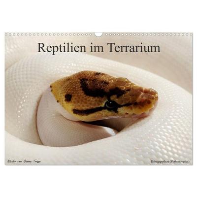 REPTILIEN IM TERRARIUM (Wandkalender 2027 DIN A3 quer), CALVENDO Monatskalender