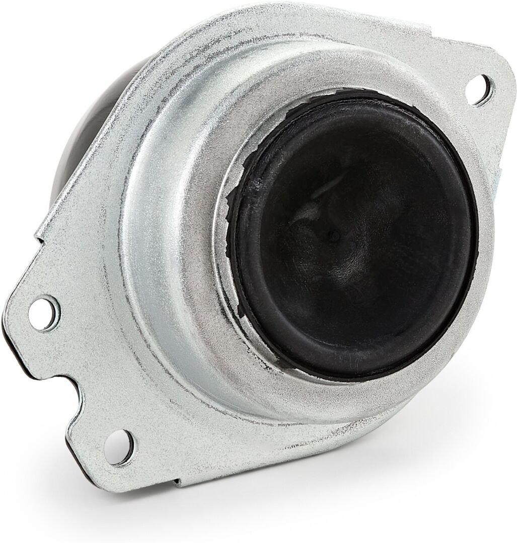 RIDEX 247E0151 Engine mount