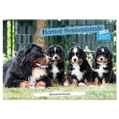 Berner Sennenhunde Bärenstarke Freunde (Wandkalender 2027 DIN A2 quer), CALVENDO Monatskalender