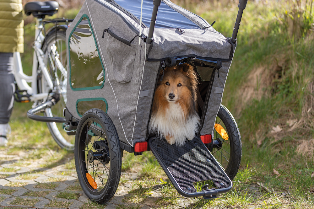 TRIXIEHEIMTIERBEDARF Fahrrad-Anhänger L:80x103x98/147cm,grau/salbei 16945184
