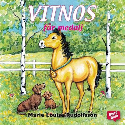 Vitnos får medalj - Marie Louise Rudolfsson, Audio, 9789176135655