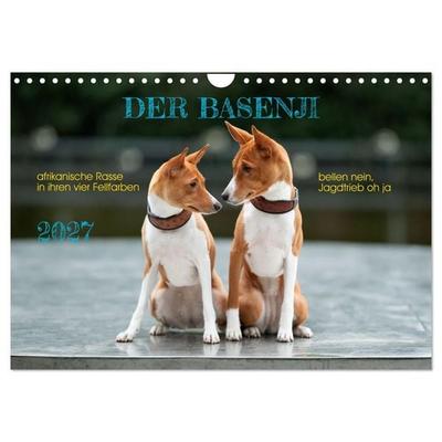 Der Basenji (Wandkalender 2027 DIN A4 quer), CALVENDO Monatskalender