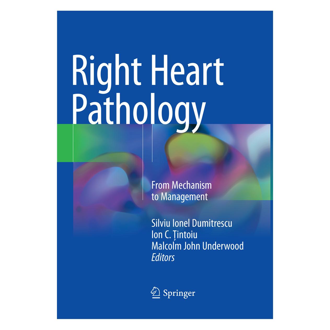 Springer Right Heart Pathology (Englisch, Softcover, C Tintoiu, Ion C. Tintoiu, Ion/John Underwood, Malcolm, Malcolm John Underwood, Silviu Ionel Dumitrescu) (56075094)