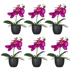 CREATIV green künstliche Pflanze Orchidee, 23cm, weiß, im 6er Set