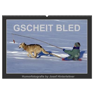 GSCHEIT BLED - Humorfotografie (Wandkalender 2027 DIN A2 quer), CALVENDO Monatskalender