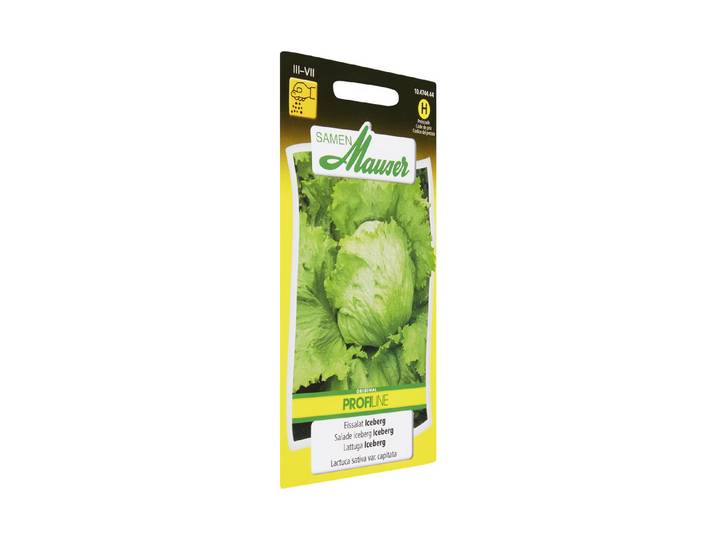Samen Mauser Eissalat Iceberg
