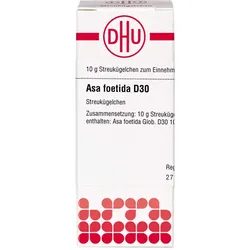 Asa Foetida D30 10 G