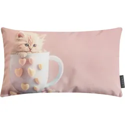Kissen KATZE (LBH 50x30x8 cm) - bunt - LBH 50x30x8 cm