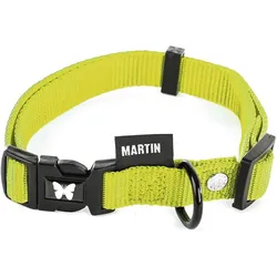 Martin Halsband Verstelbaar Nylon Groen (Hund, Allgemein, Spazieren), Halsband + Leine