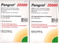 PANGROL 25.000 Hartkps.m.magensaftr.überz.Pell. 200 St