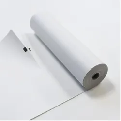 Brother, Thermopapierrolle, Premium A4 Width Roll Paper