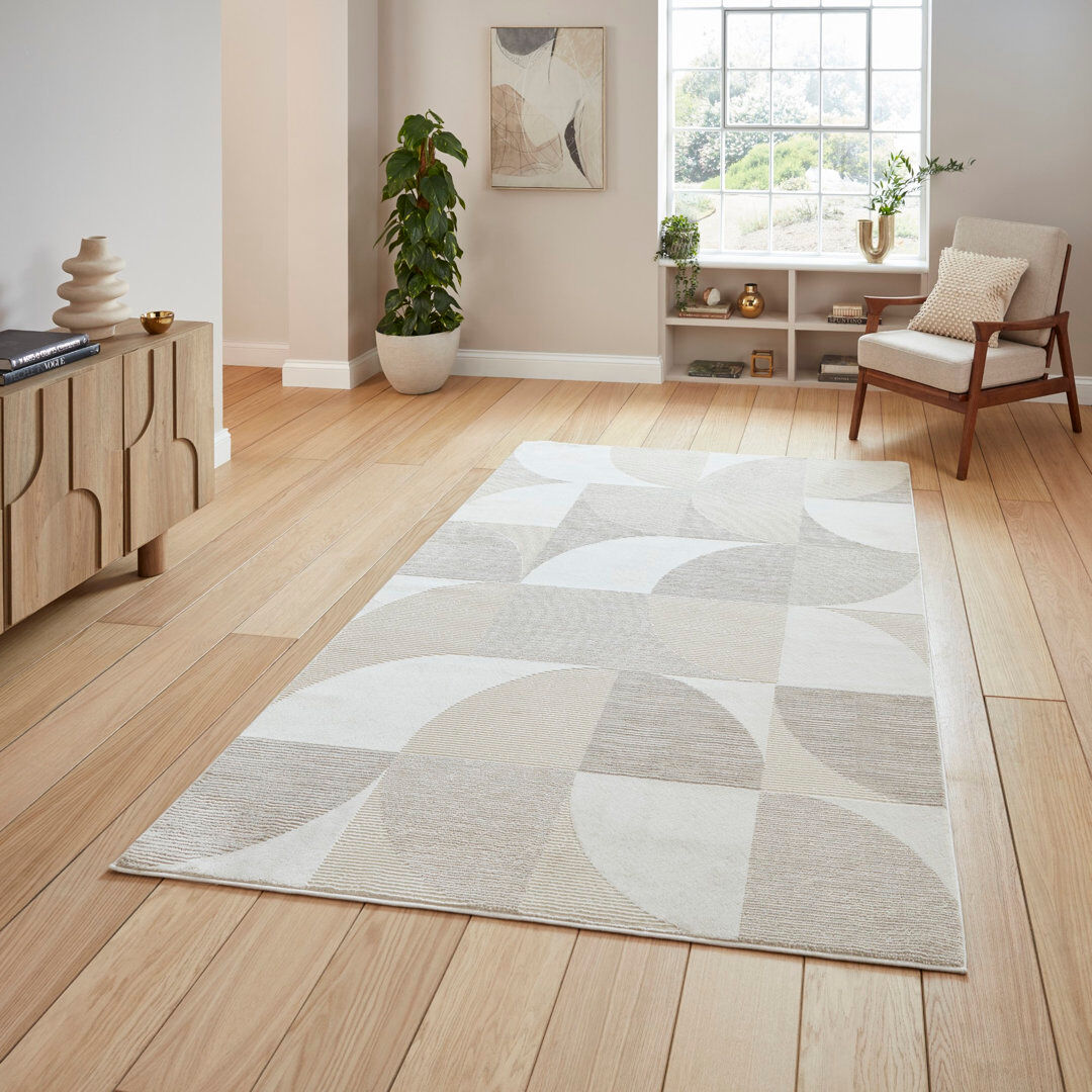 Brayden Studio Celerino Area Rug Cream/Beige Rectangle 120 x 170 cm