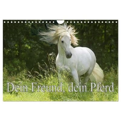 Dein Freund, dein Pferd (Wandkalender 2026 DIN A4 quer), CALVENDO Monatskalender